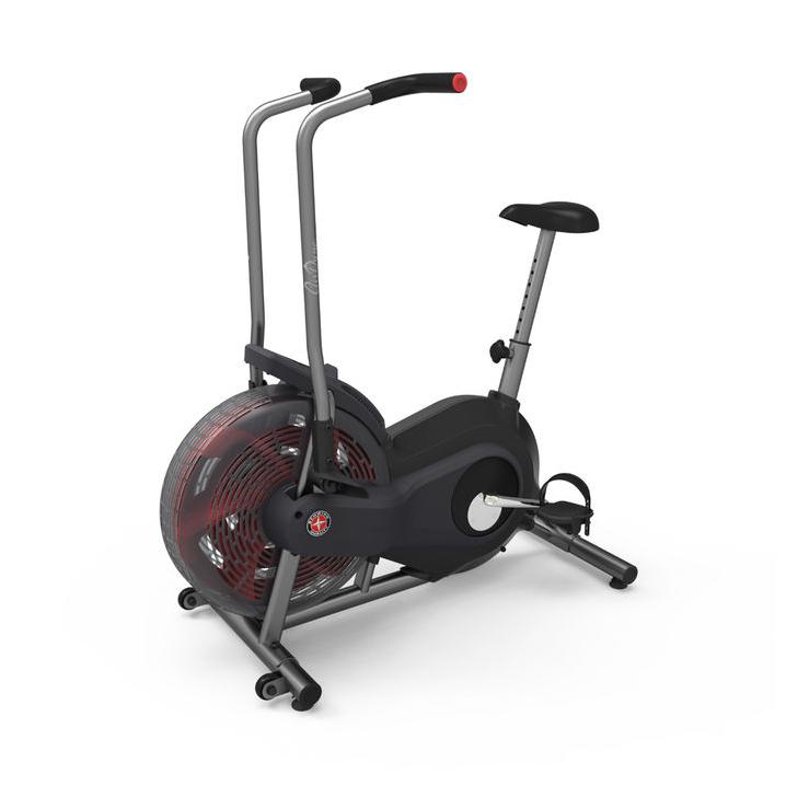 Schwinn Airdyne AD2i air bike