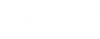 mastersport