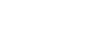nautilus